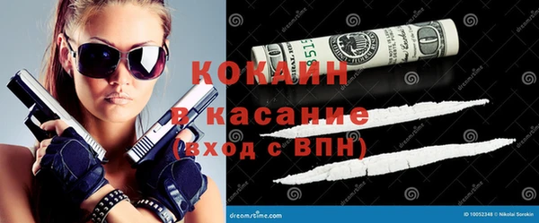 ГАЛЛЮЦИНОГЕННЫЕ ГРИБЫ Абаза