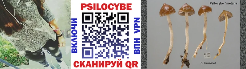 OMG как зайти  Альметьевск  Псилоцибиновые грибы ЛСД 